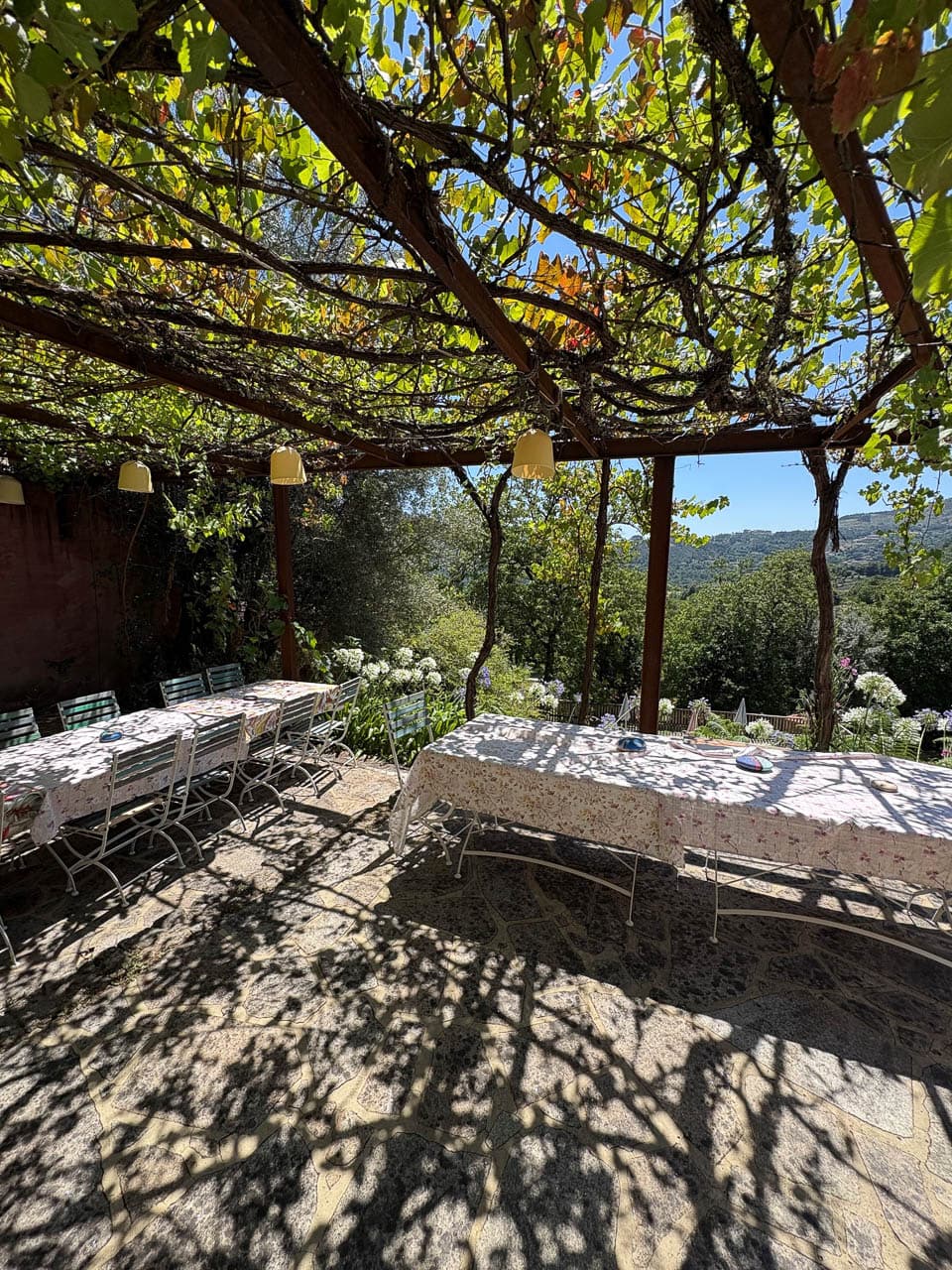 Selectie 7 Uus Knops