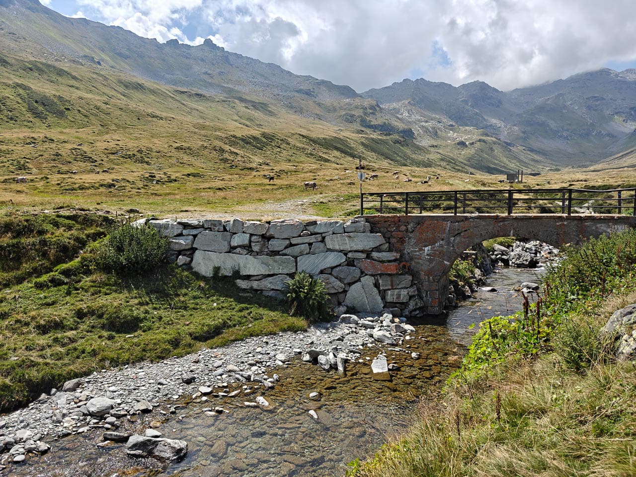 Selectie Melissa IMG20250819133042