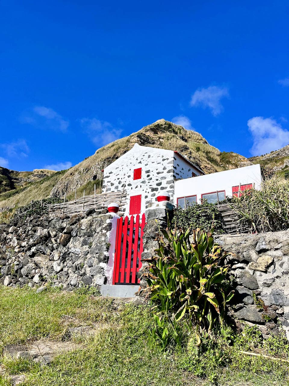 PT5AZA Image00094 Eveline Claes