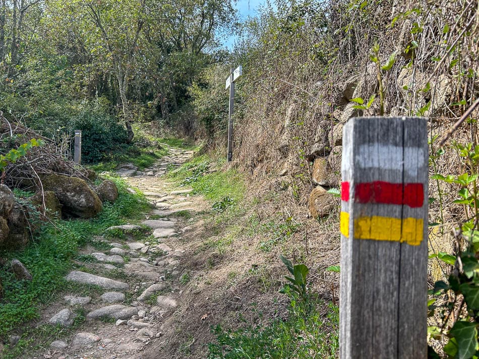 IMG 0009 ES5SSA Agent W950