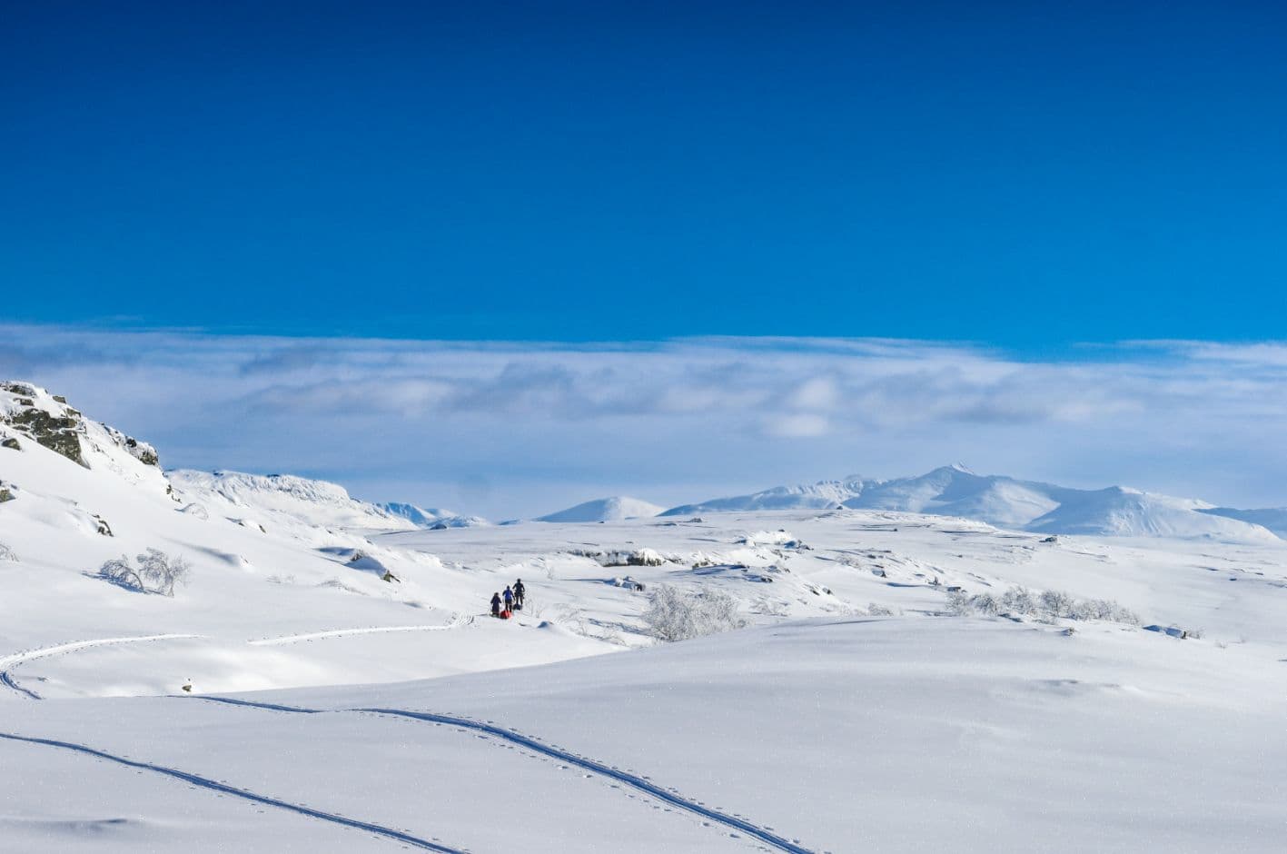 Skärmavbild 2024 03 12 Kl. 21.01.44 LR