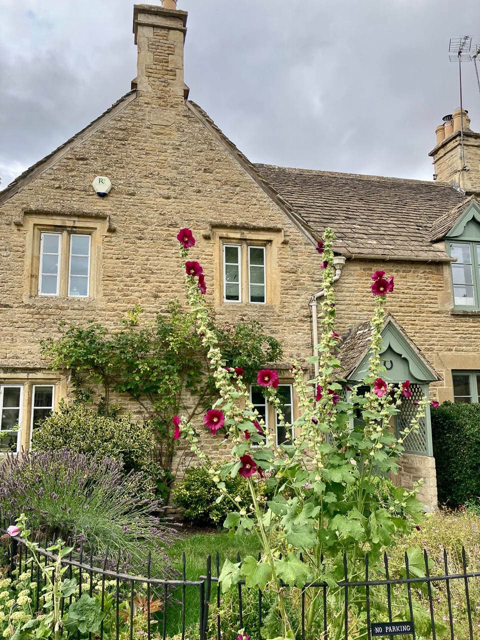 Selectie IMG 8451 Annemie Vriesema