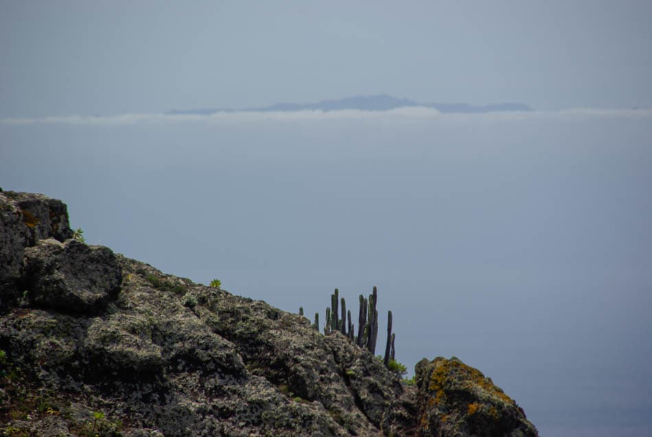 hr_12-jose-de-meyer-2010__w950