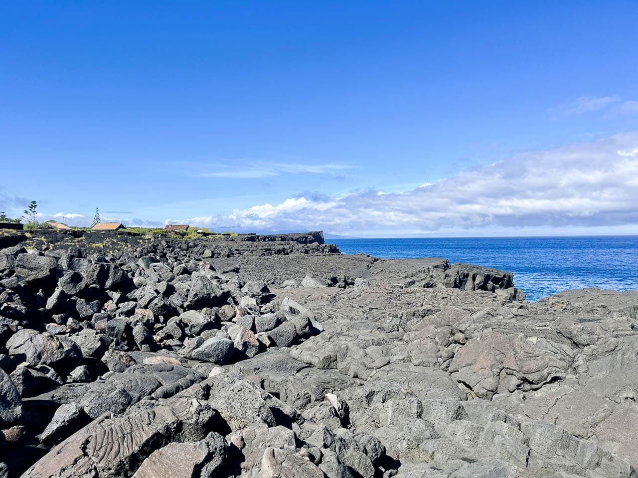 PT5AZA Image00076 Eveline Claes