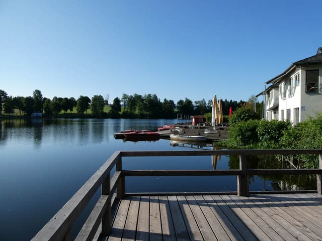 Selectie PANA0160 Dirk De Vos