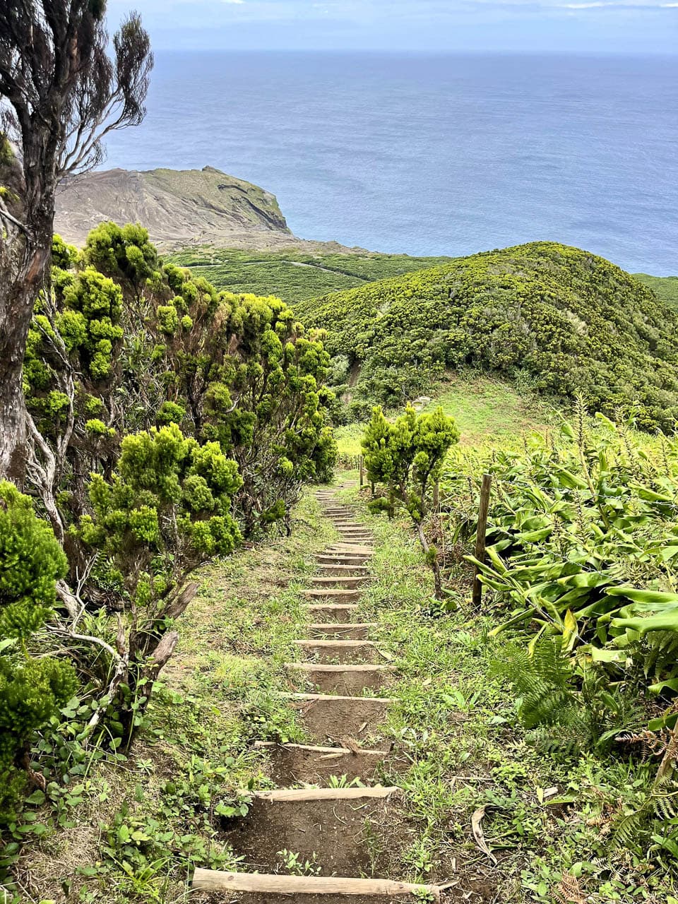 PT5AZA Image00058 Eveline Claes