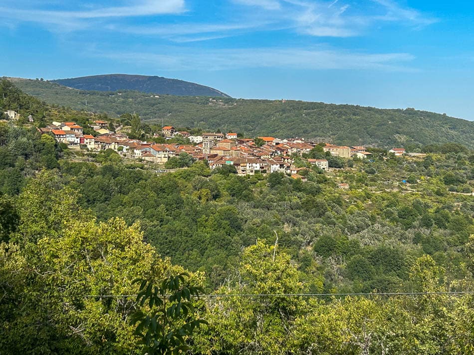 IMG 9961 ES5SSA Agent W950