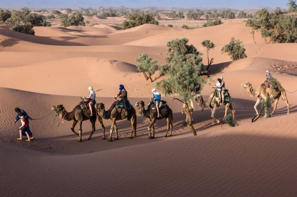 Fotos-Marokko-249-IMG_2973_export