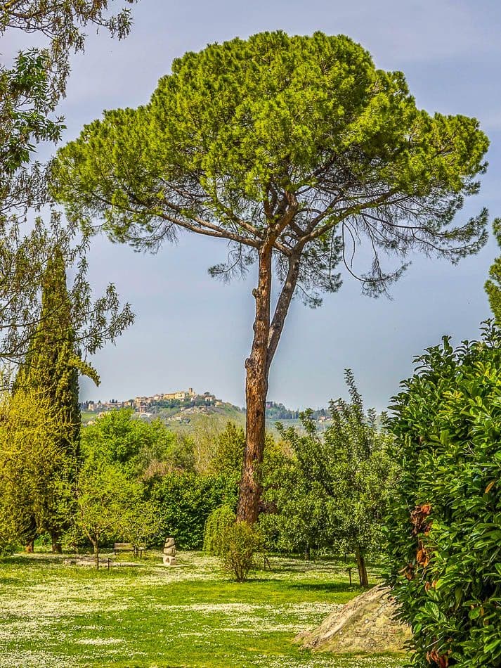 ohsx0465_karel-meuleman_w950