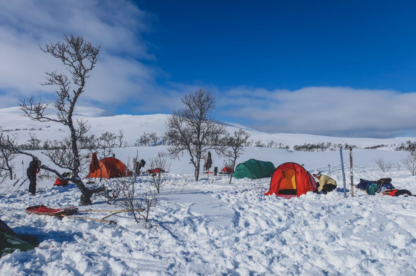 Skärmavbild 2023 09 04 Kl. 16.50.11 LR