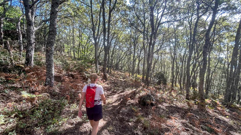 IMG E9861 ES5SSA Agent W950