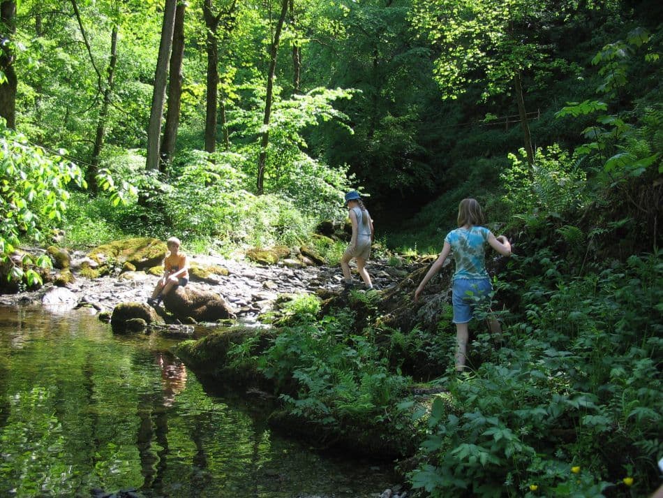 Ardennen-Anna-Mertens-1_export