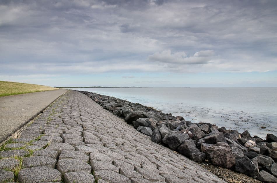 DSC 4935 Export W950