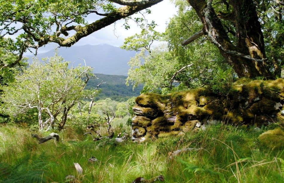 201408-ierland-163-Custom