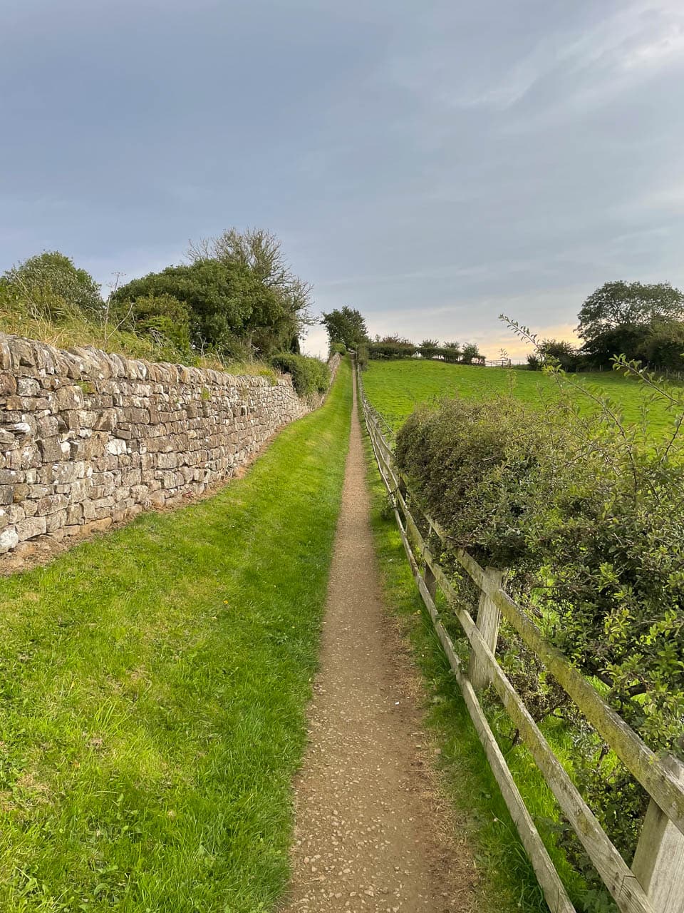 Selectie Image00016 Rosanne Addiers