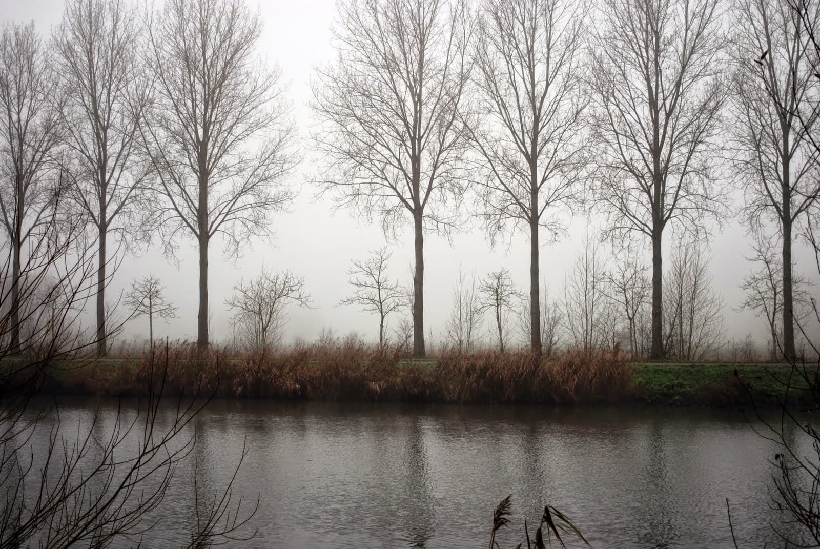 DSC_16_Veronique_De_Smedt