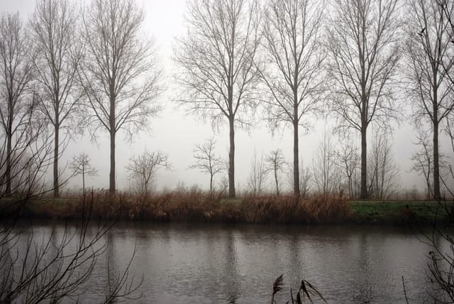 DSC_16_Veronique_De_Smedt