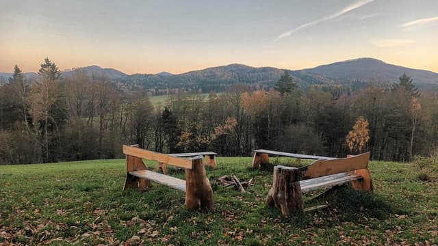 2025 20251107 162015 Lori Persoons