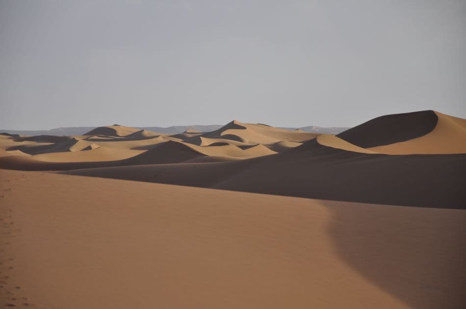 Marokkaanse-sahara-180_export