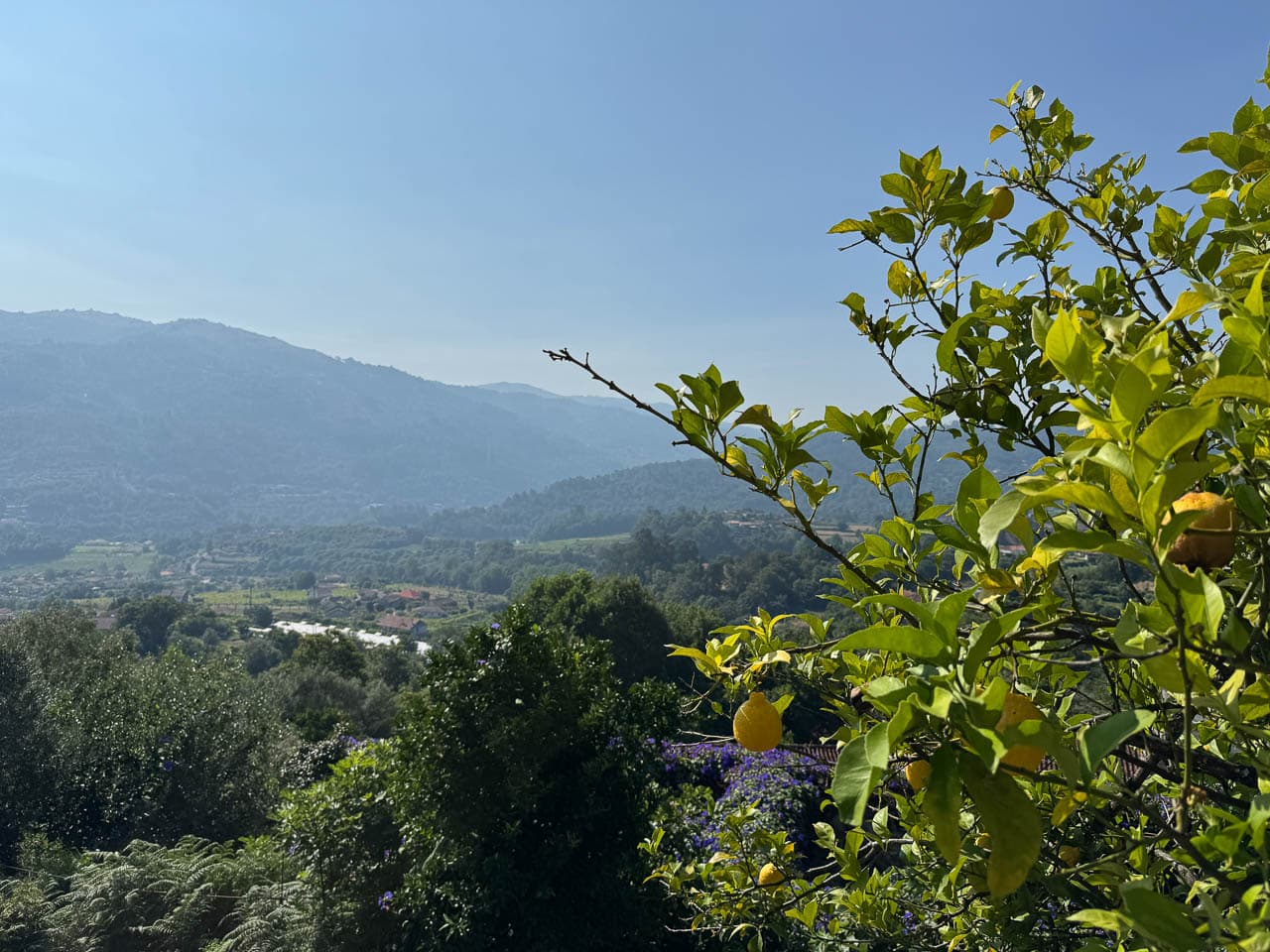 Selectie IMG 1400 Sofie Van Geldre