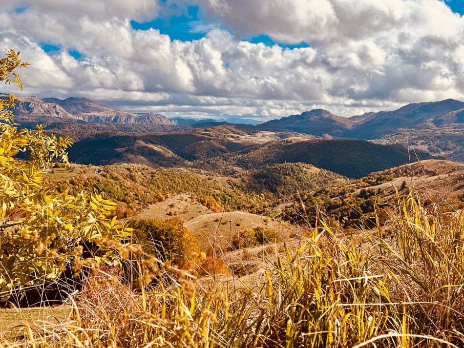 IMG 1642 Selectie Anne Cornut W950