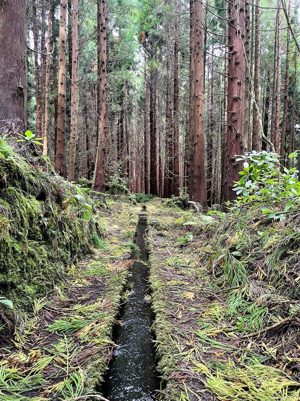 PT5AZA Image00047 Eveline Claes