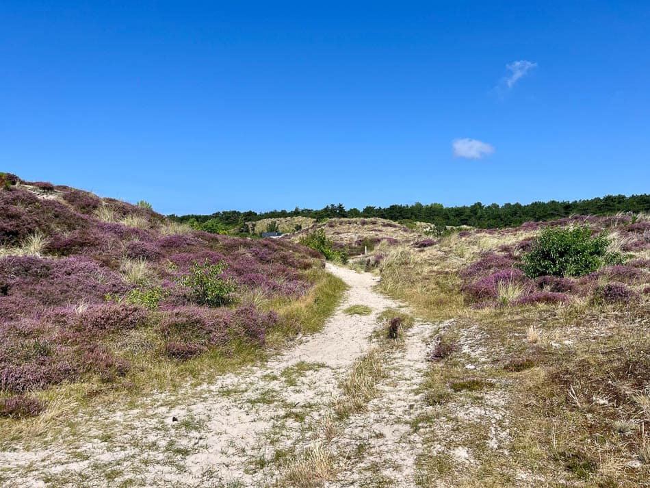 Image00012 NL5TSA Eveline Claes W950