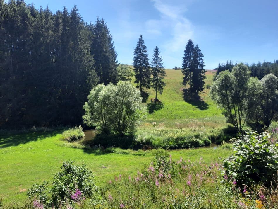 20200729_153901_export