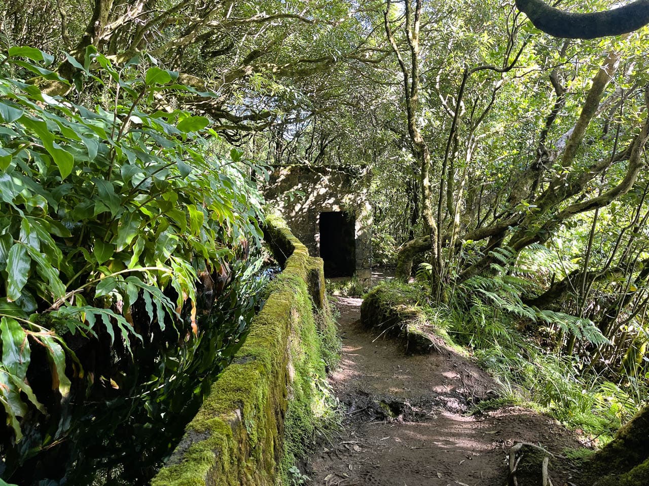 PT5AZA Image00016 Eveline Claes