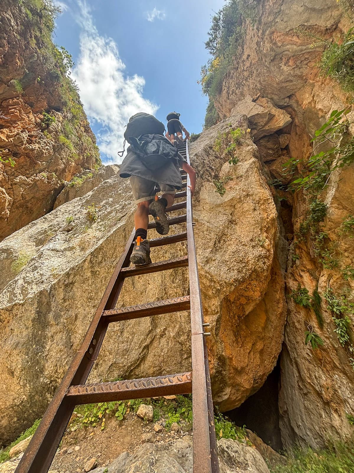 IMG 6303 Selectie Ann Tilley W1280