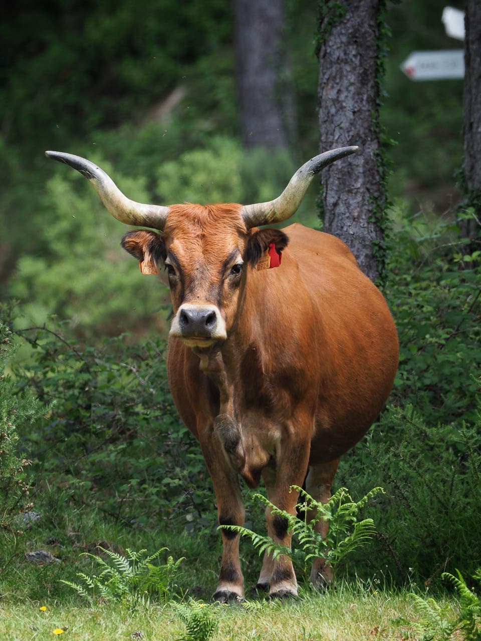 Selectie IMG 0024 Tom De Borger