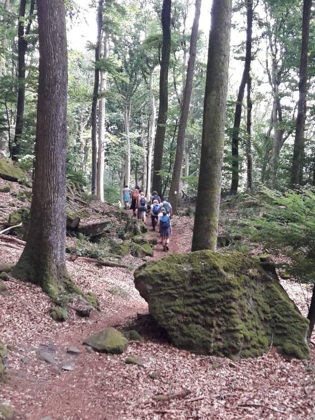 IMG-20190812-WA0034_export