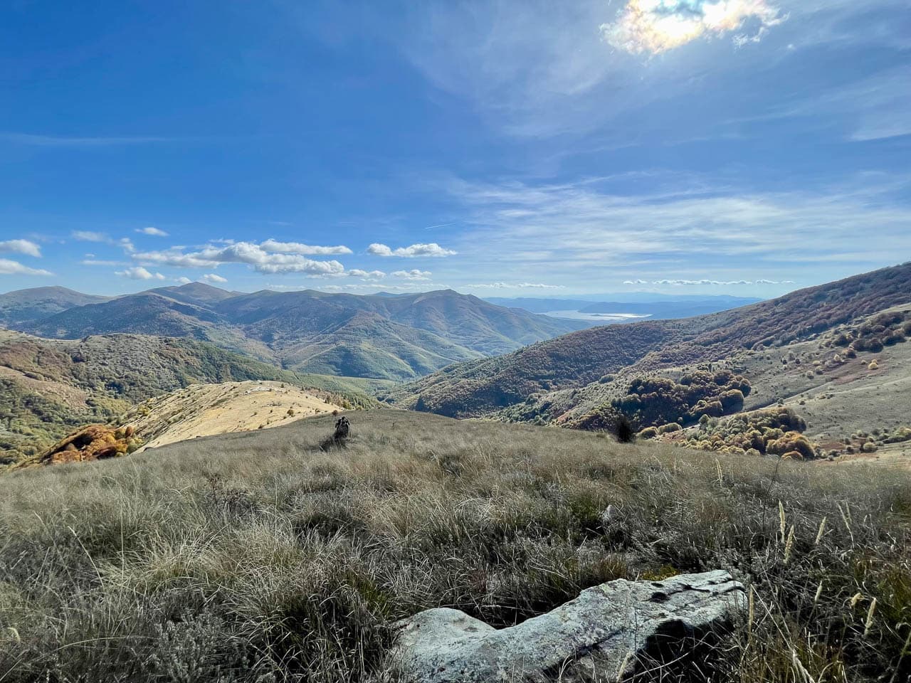 IMG 1438 Selectie Ruud Peten W1280