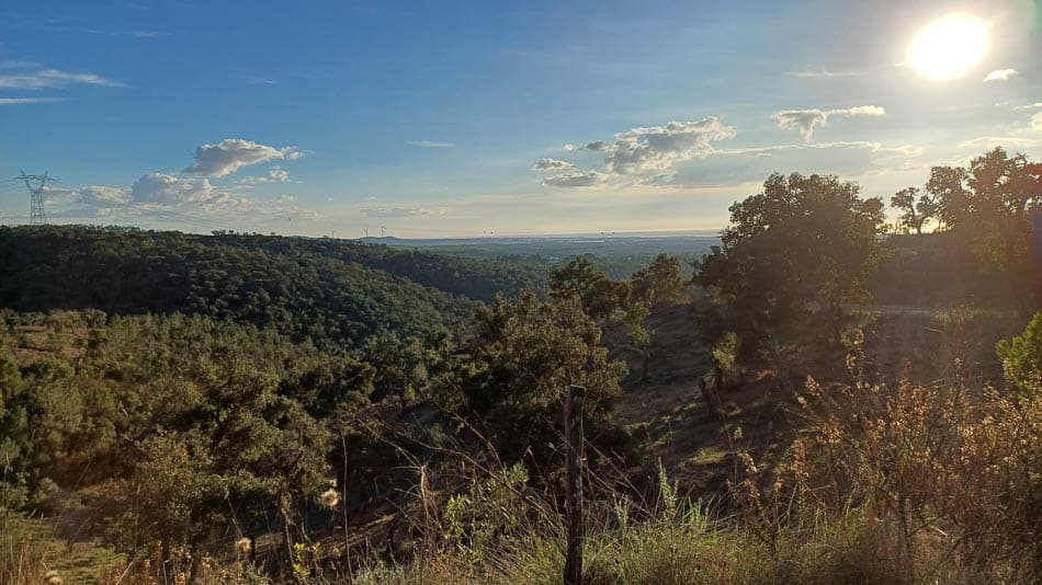 20241111 162123 PT6ALA W950