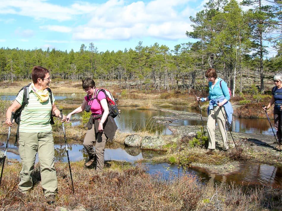 Hoge Kust Bart De Winter 2011 DSCN6035 Export W950