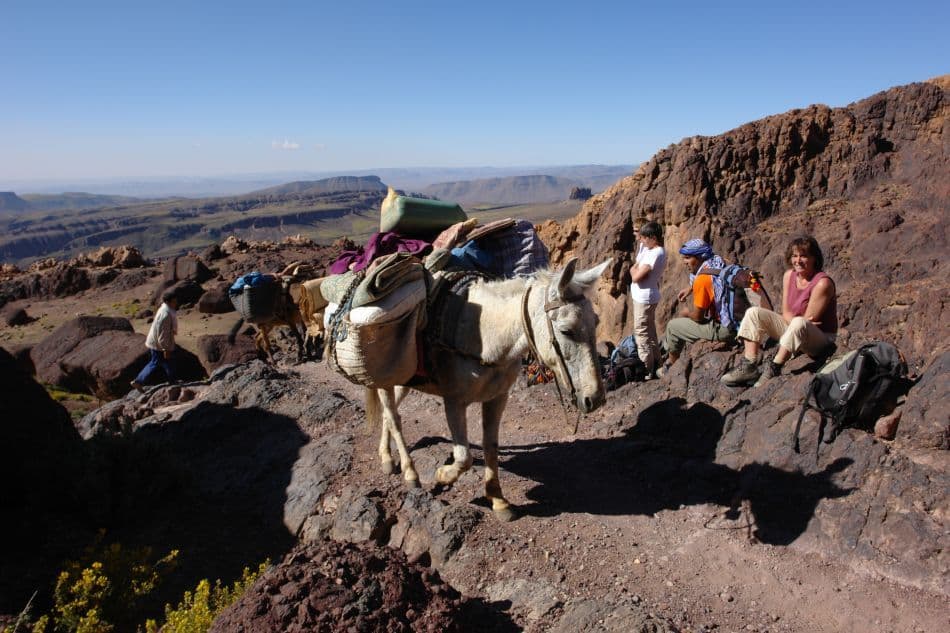 Saghro-07-Jozef-Gysenbergs-DSC03802_export_w950