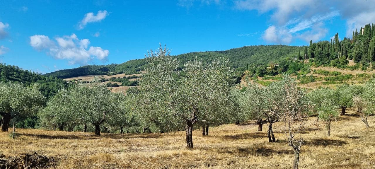 20250726 094614 Tom Dijckmans