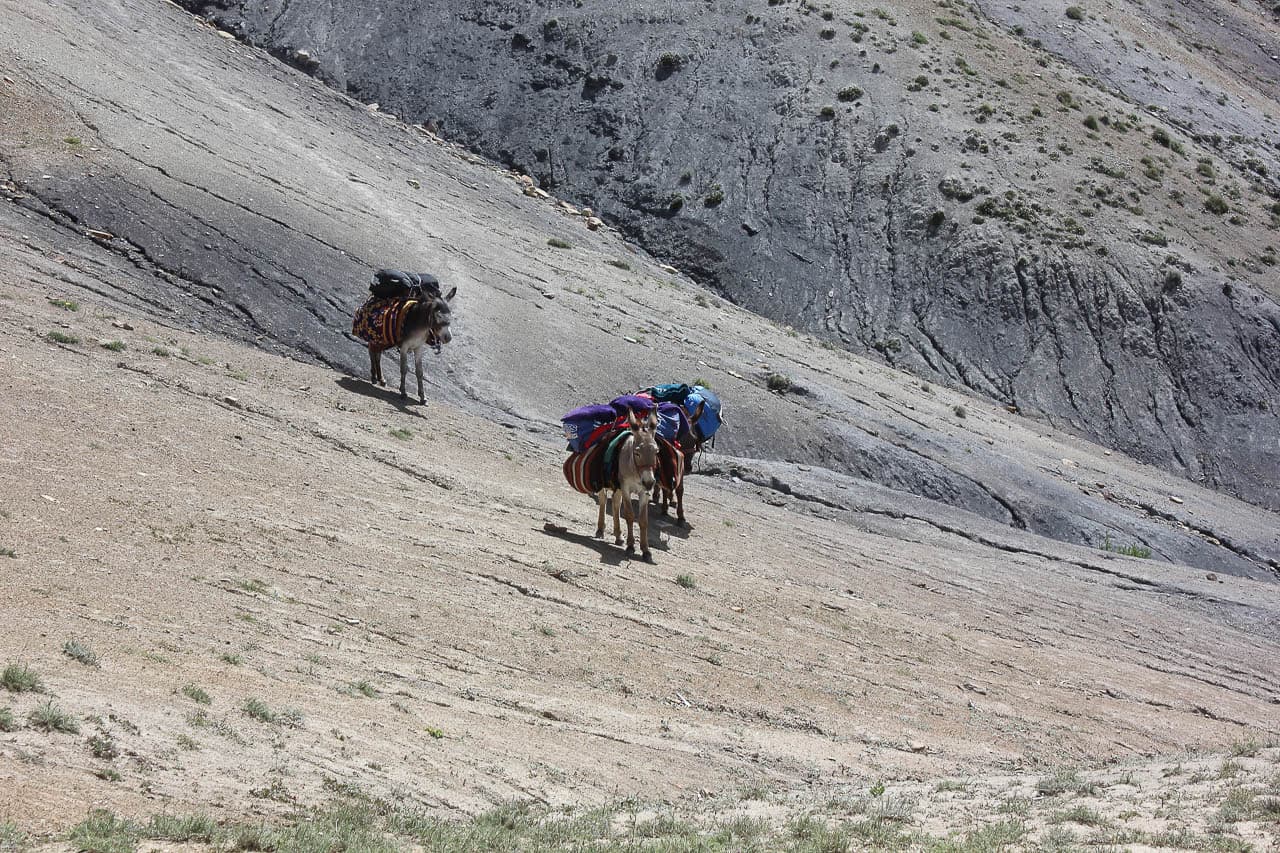 Mutsaerts Dirk IMG 8030 Dirk Mutsaerts