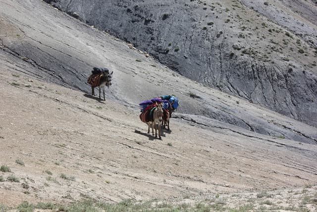 Mutsaerts Dirk IMG 8030 Dirk Mutsaerts