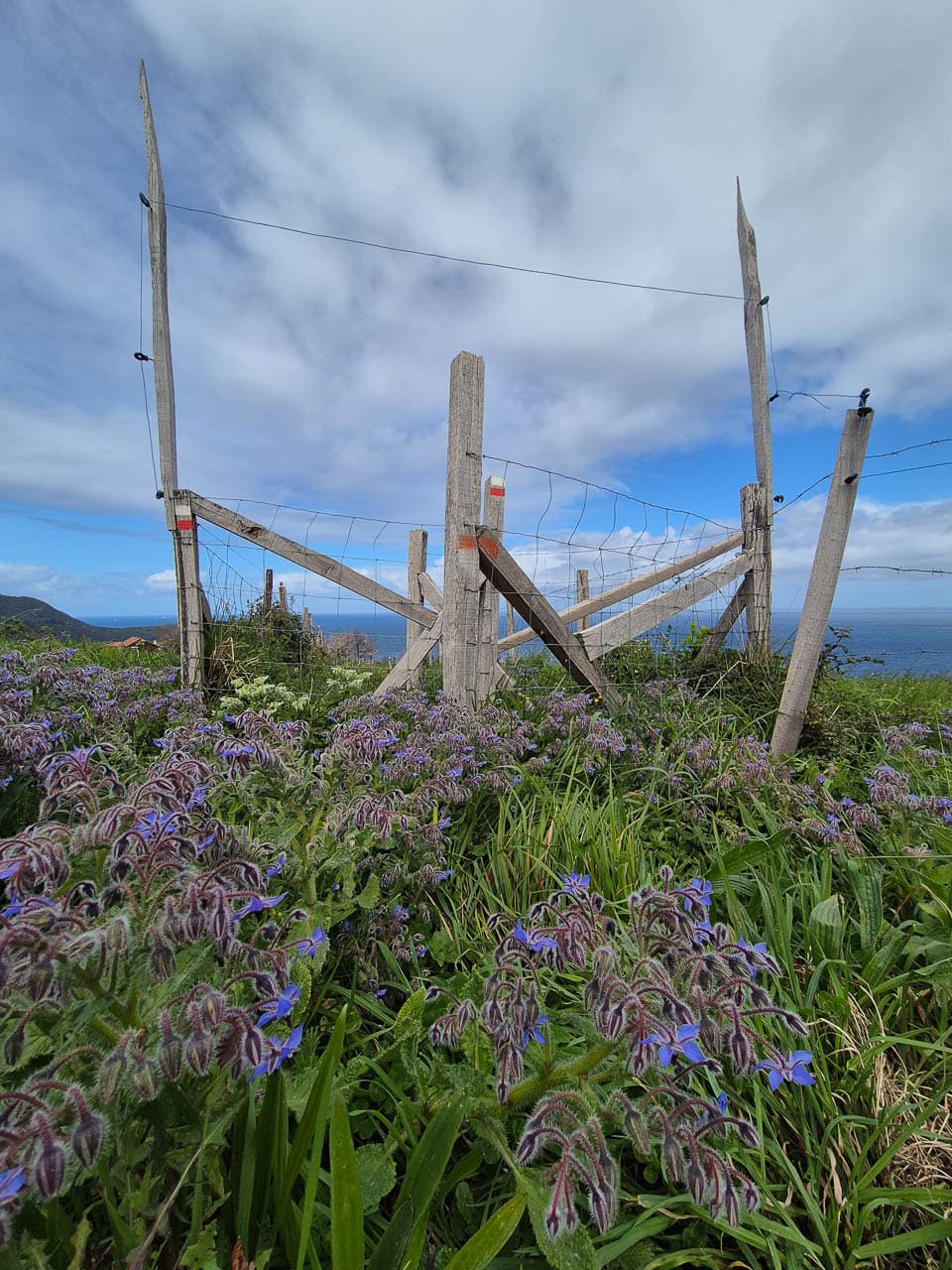 Charlotte Stevens 20260326 131510 Charlotte Stevens