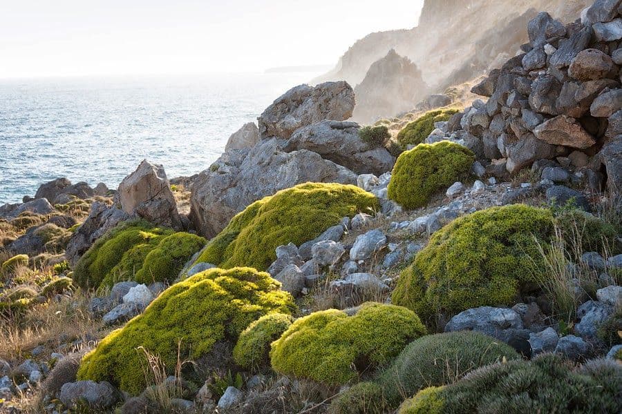 Kreta-south-coast-Lex-van-den-Bosch-4_export