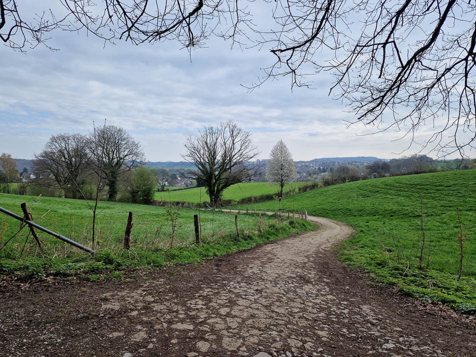 20230419_094221-NL5DMA Schrumpf Mirjam-Mirjam Schrumpf-w950