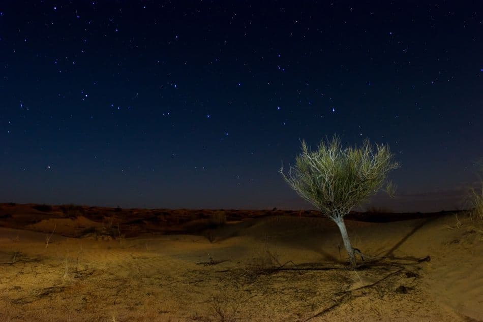 Stefan-Cruysberghs-0352-Tunesie-Sterren_export