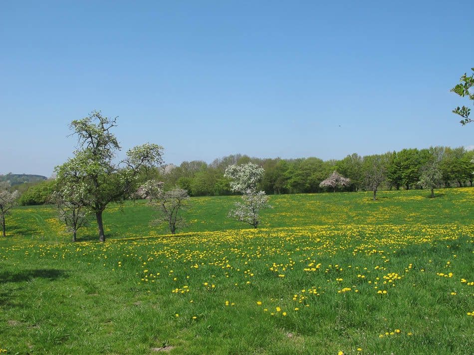 Voeren 13 Robert Clabots IMG_0891_Robert Clabots_w950