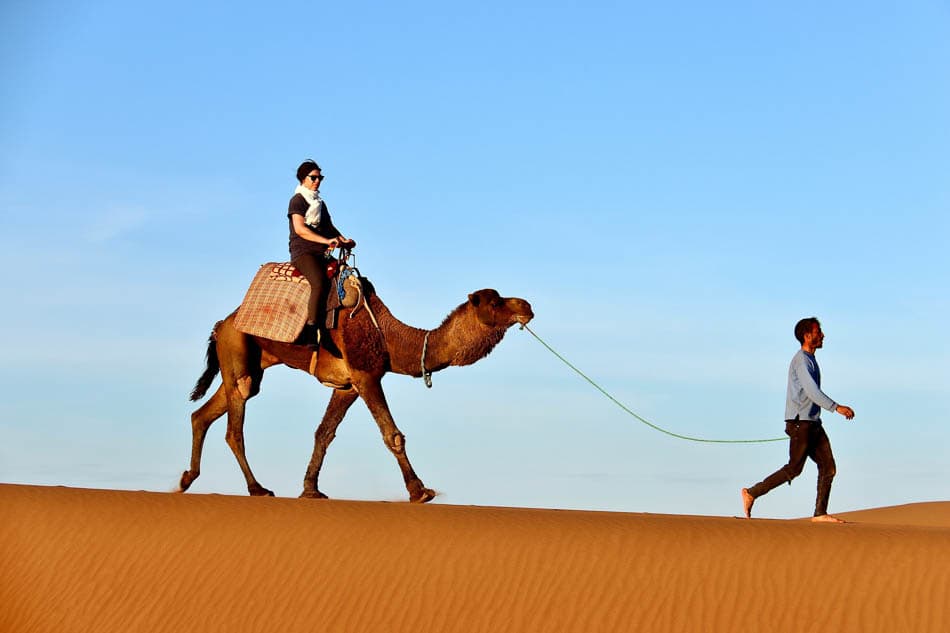 Sahara (199) Selectie Arne Van Wijnsberghe W950