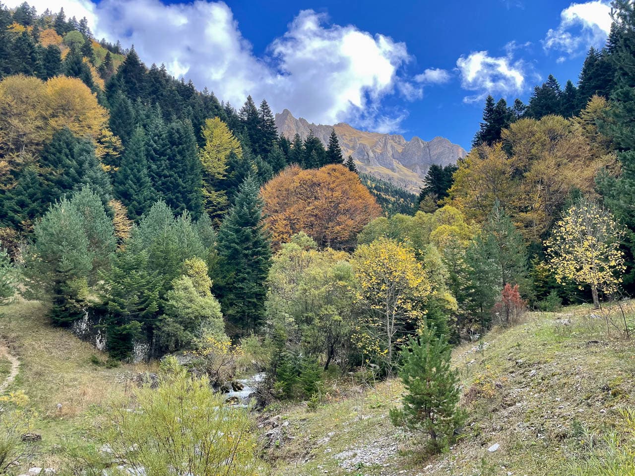 IMG 1317 Selectie Ruud Peten W1280