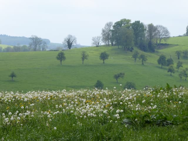 P1120832 Export