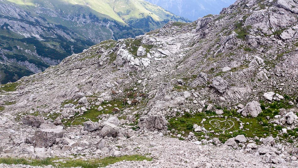 DSC 0808 Export W950