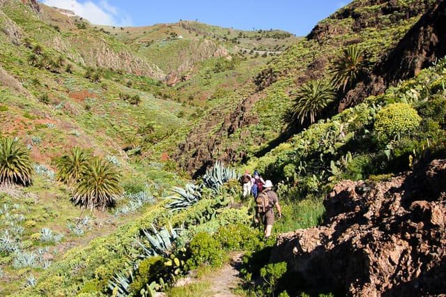 La Gomera 07 Luc Lioen 05_export_w950