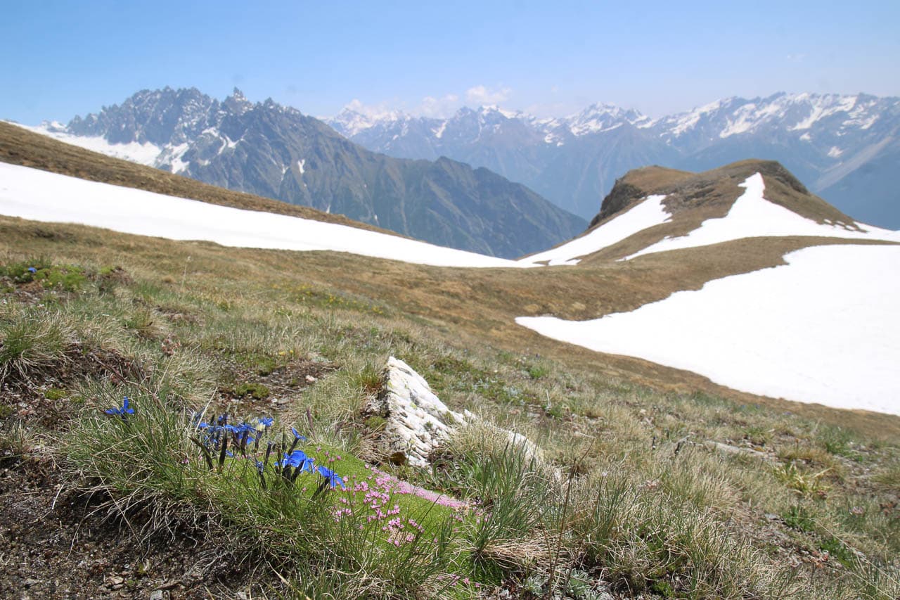 Jan Van Brabant IMG 0734 Jan Van Brabant